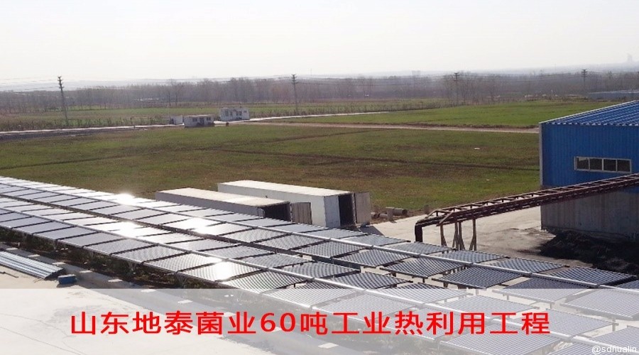 山东地泰菌业有限公司